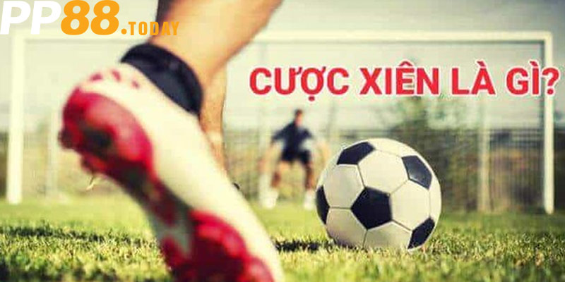Cược xiên là gì? Hướng dẫn cơ bản cho người mới bắt đầu